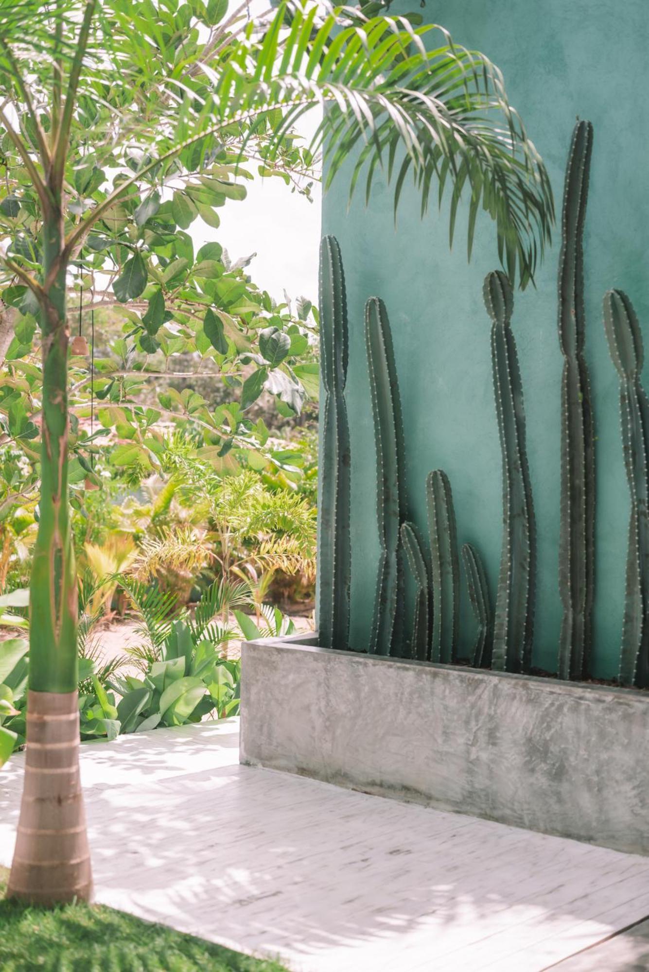Cactus Lodge Pipa Praia de Pipa Екстериор снимка